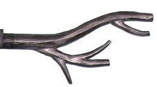 Finial, Branch