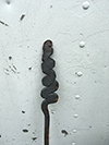 Squiggle Garden Stakes